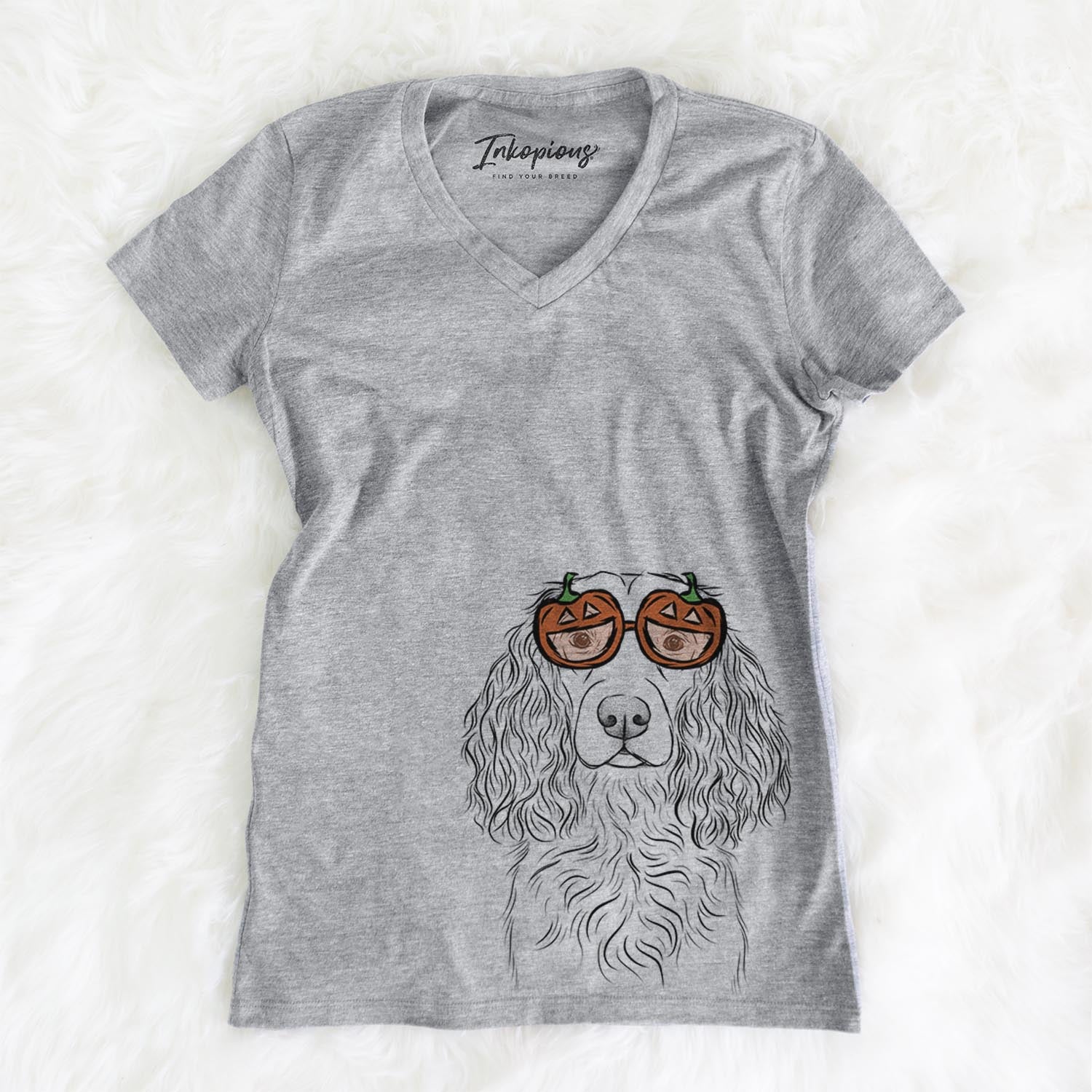 Landry the Boykin Spaniel  - Pumpkin Collection