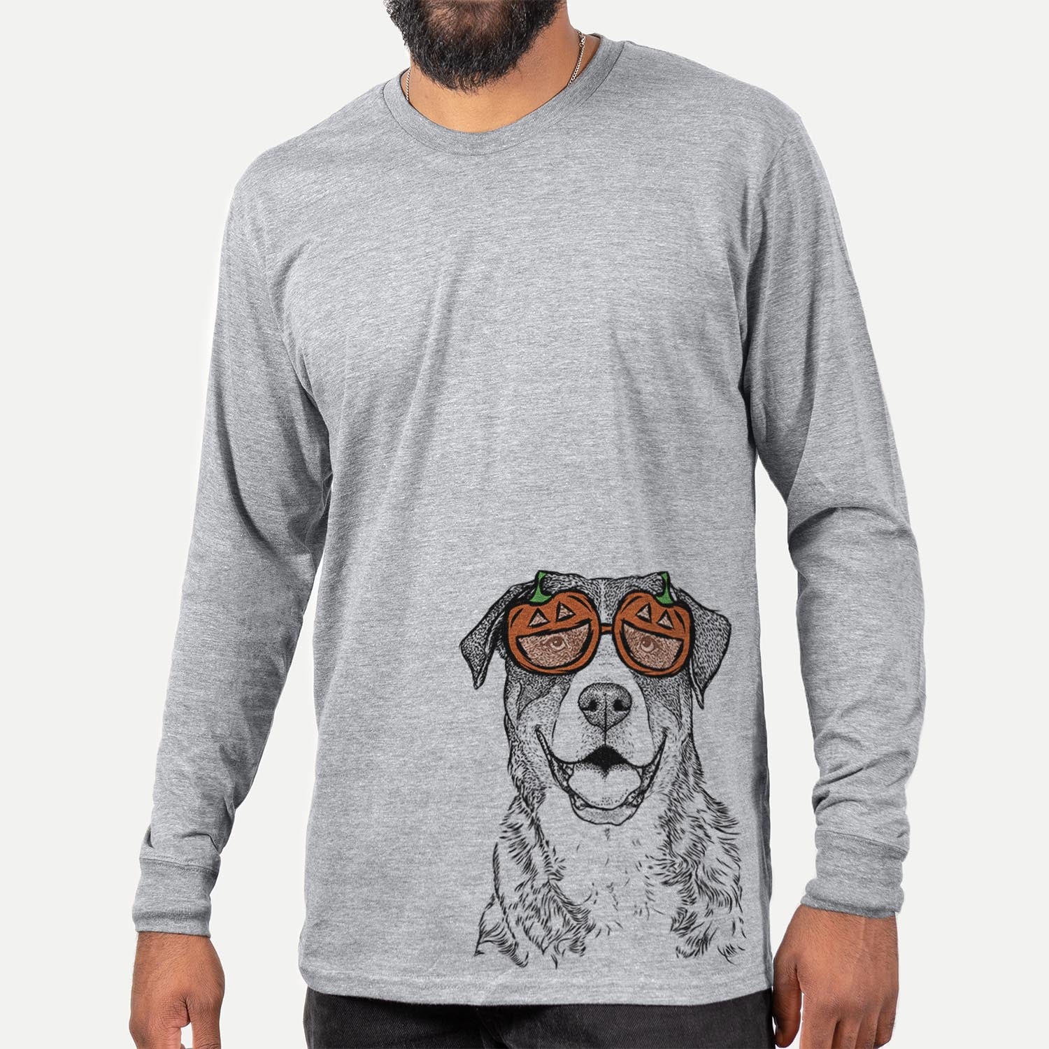 Leon the Greater Swiss Mountain Dog  - Pumpkin Collection