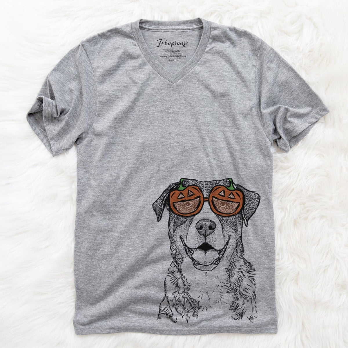 Leon the Greater Swiss Mountain Dog  - Pumpkin Collection