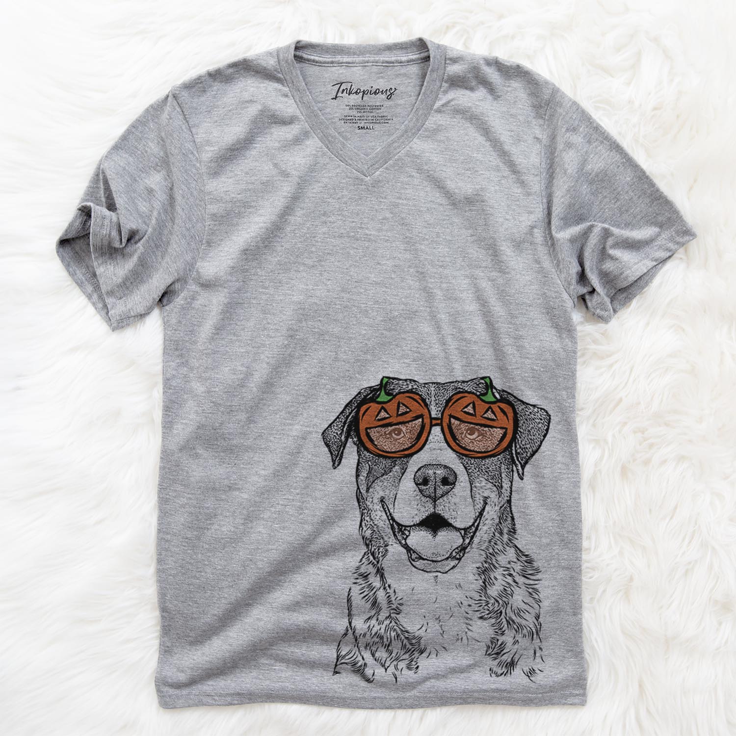 Leon the Greater Swiss Mountain Dog  - Pumpkin Collection