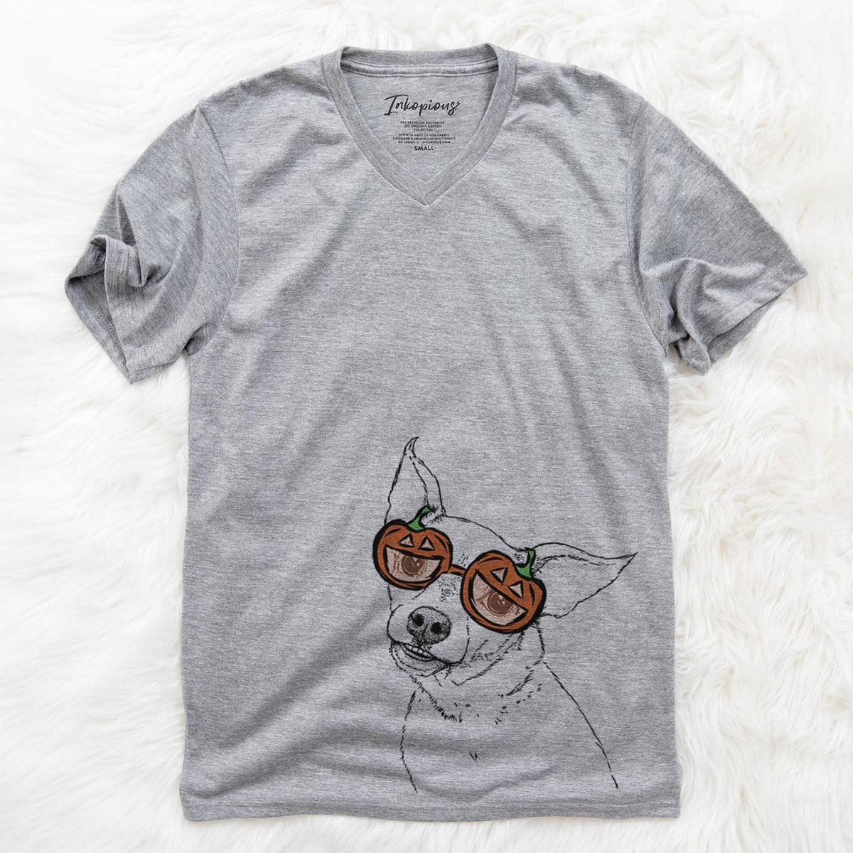 Lola the Chiweenie  - Pumpkin Collection