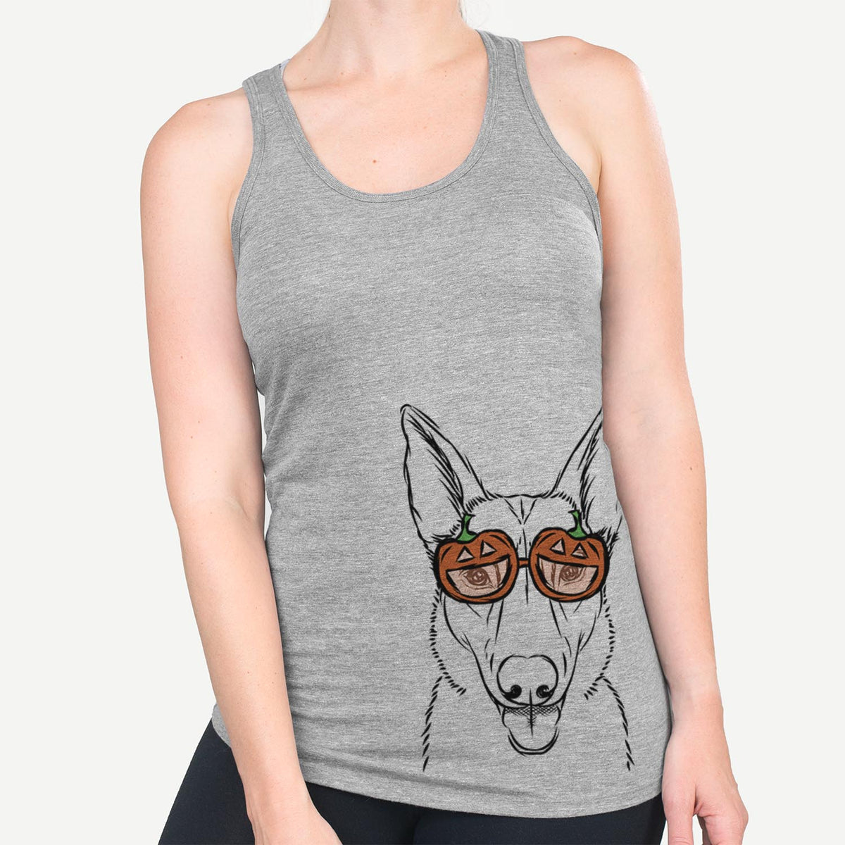 Lyric the Belgian Malinois  - Pumpkin Collection