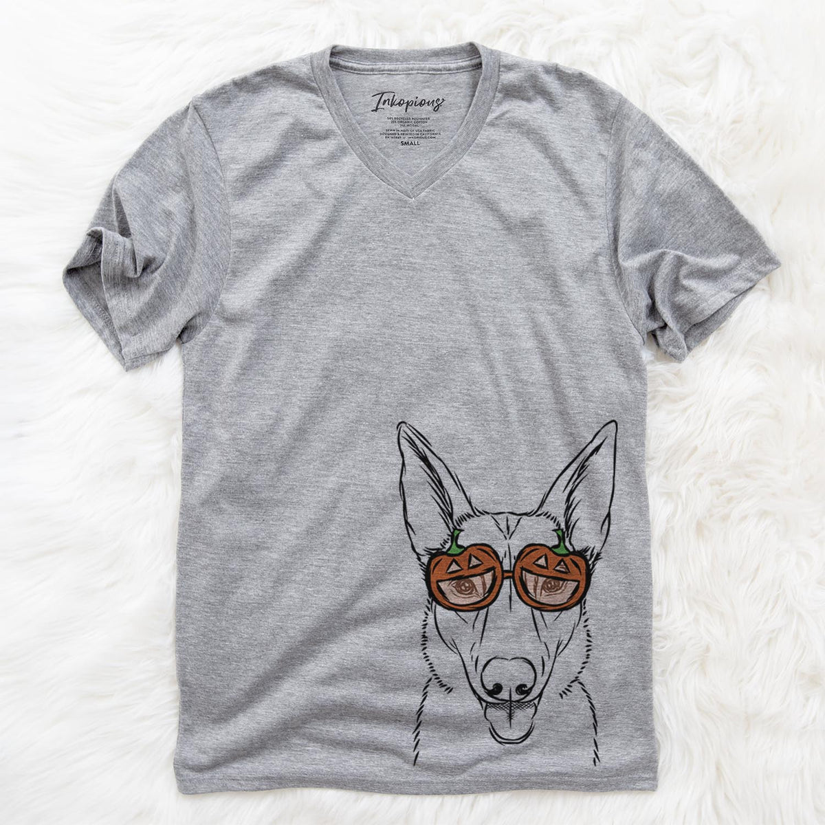 Lyric the Belgian Malinois  - Pumpkin Collection