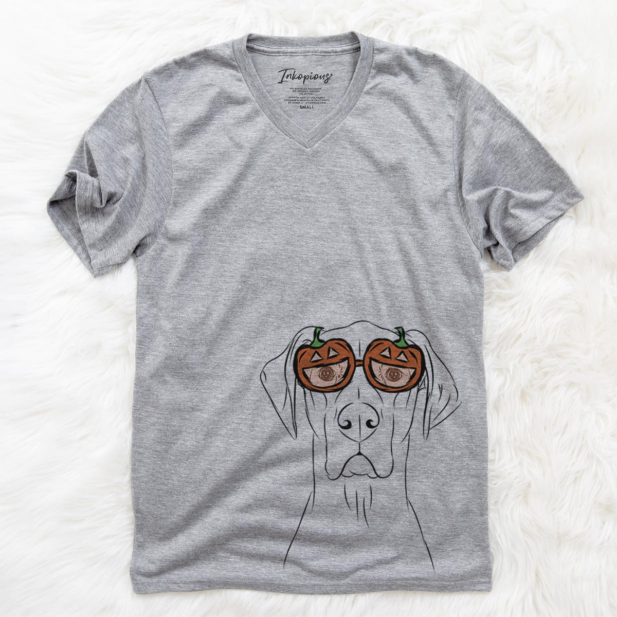 Maddox the Great Dane  - Pumpkin Collection