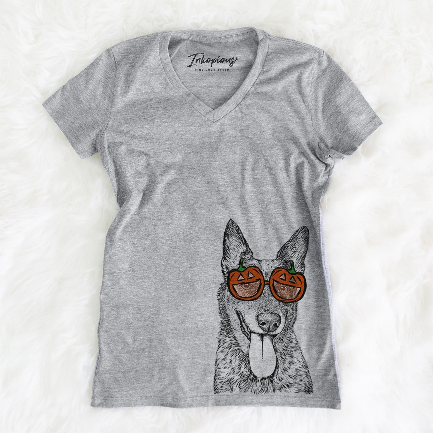 Madison the Blue Heeler  - Pumpkin Collection