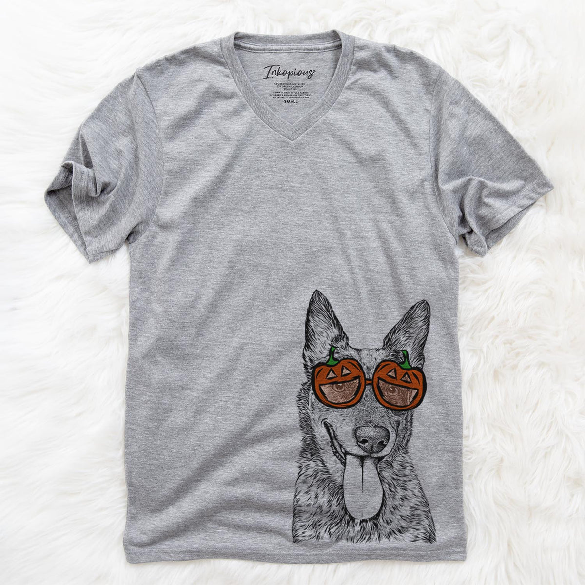 Madison the Blue Heeler  - Pumpkin Collection