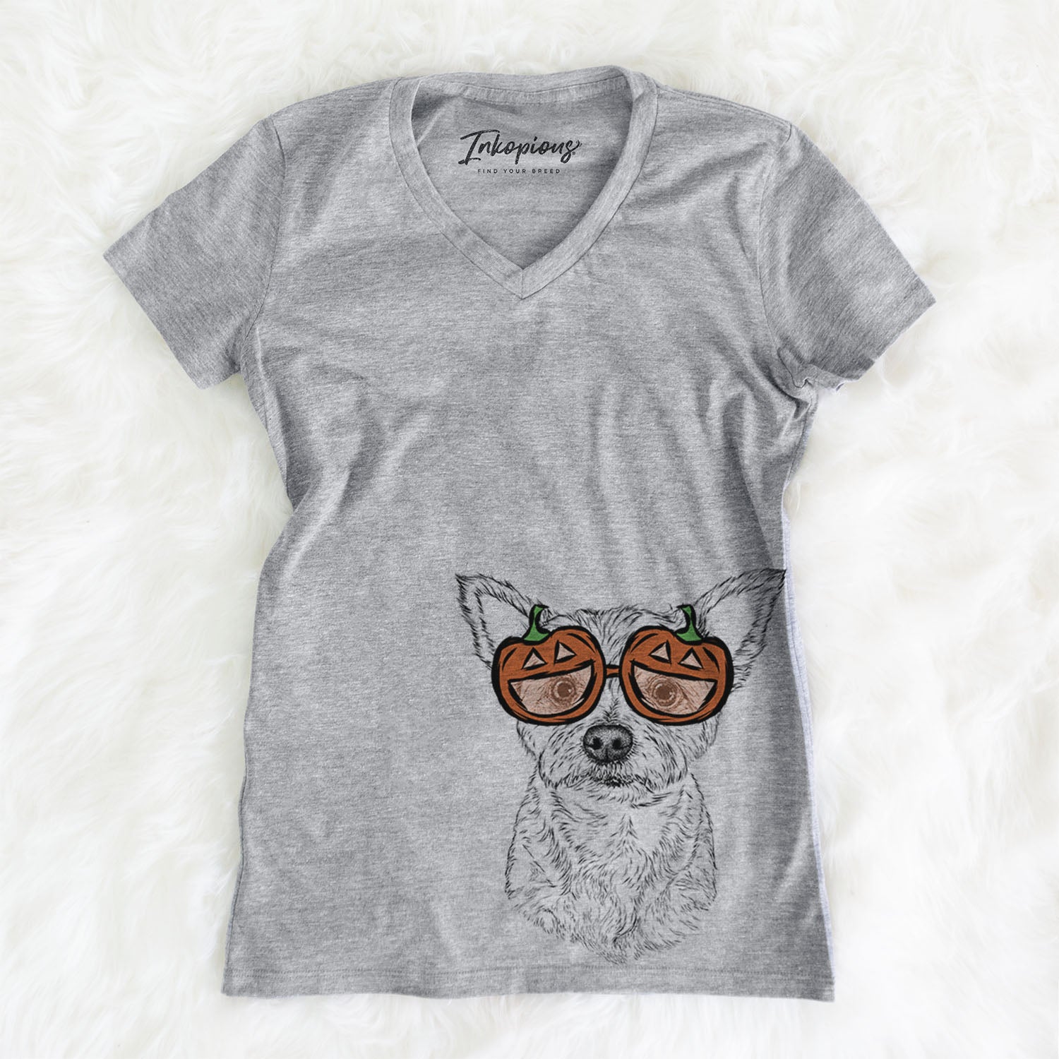 Mango the Mixed Breed  - Pumpkin Collection