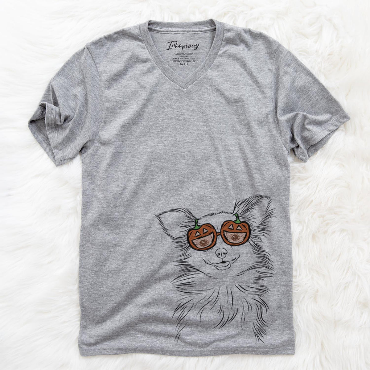 Marzi the Long Haired Chihuahua  - Pumpkin Collection