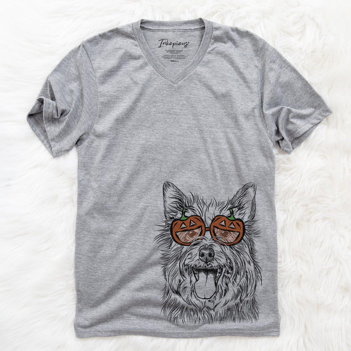 Middy the Australian Terrier  - Pumpkin Collection