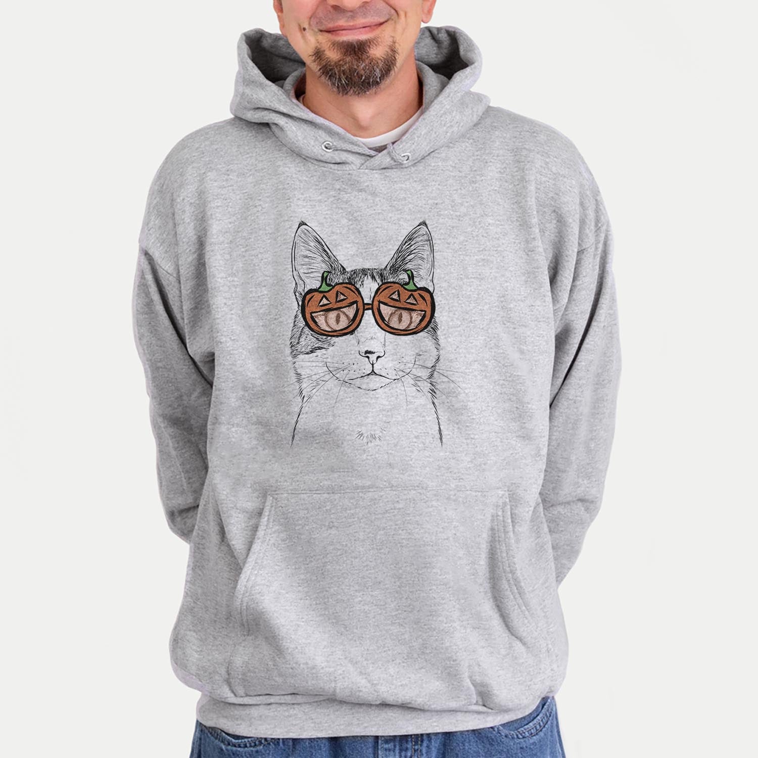 Mini Griffin the Domestic Shorthair Cat  - Pumpkin Collection