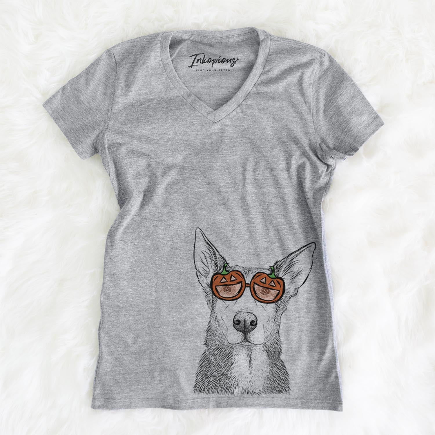 Misty the German Shepherd Mix  - Pumpkin Collection