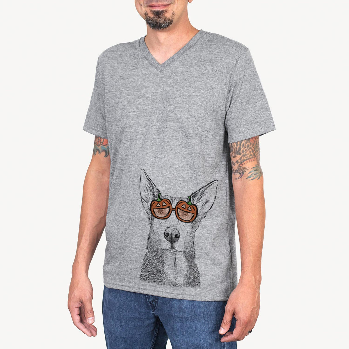 Misty the German Shepherd Mix  - Pumpkin Collection