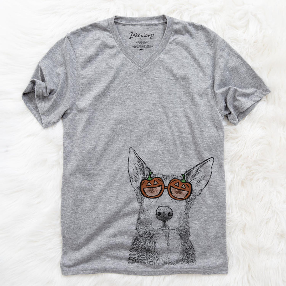 Misty the German Shepherd Mix  - Pumpkin Collection