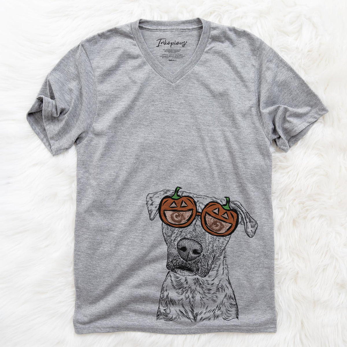 Monster Baby the Pitbull Mix  - Pumpkin Collection