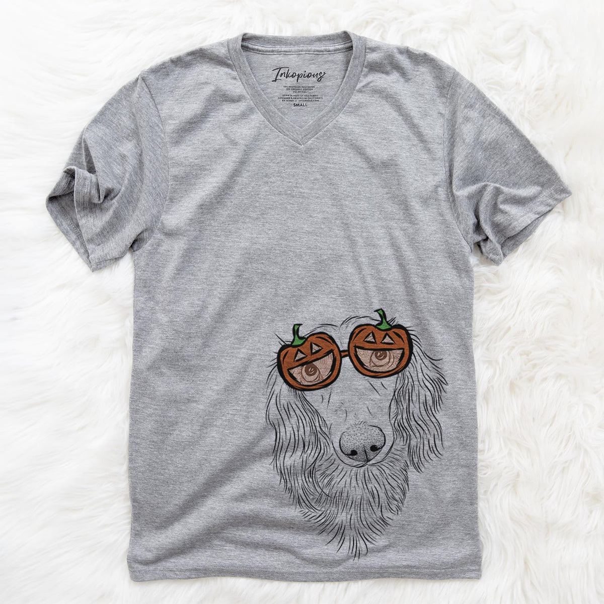 Mr. Rusty the Long Haired Dachshund  - Pumpkin Collection