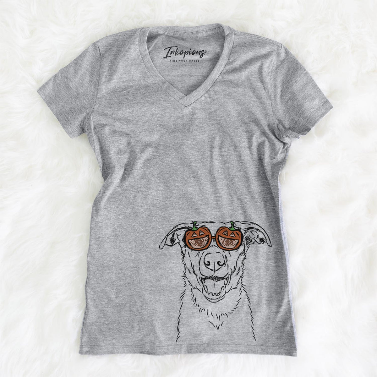 Noah the Border Collie  - Pumpkin Collection