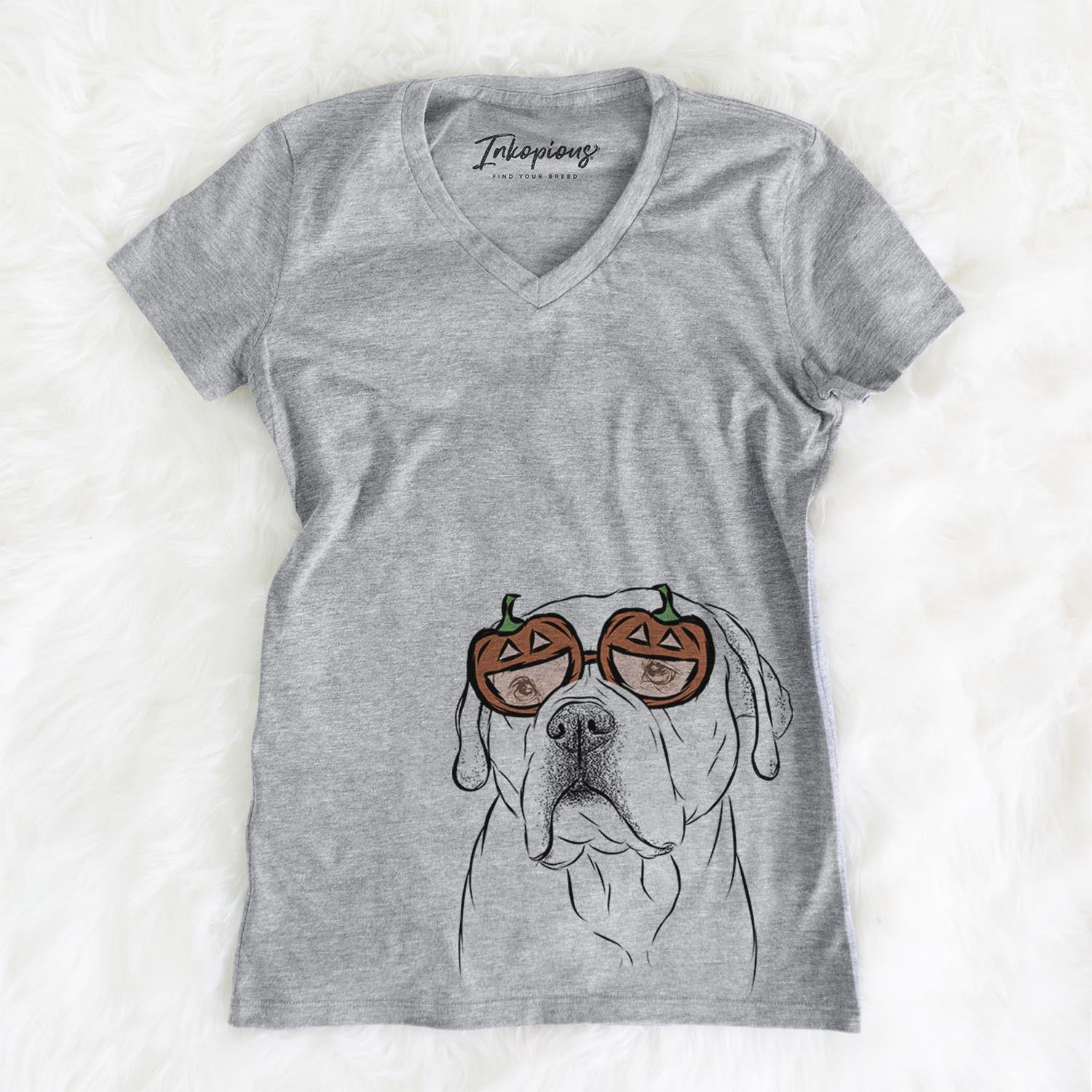 Nora the American Bulldog Mix  - Pumpkin Collection