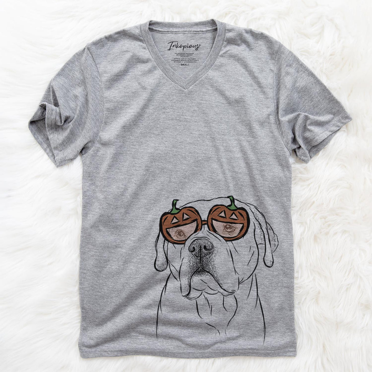 Nora the American Bulldog Mix  - Pumpkin Collection