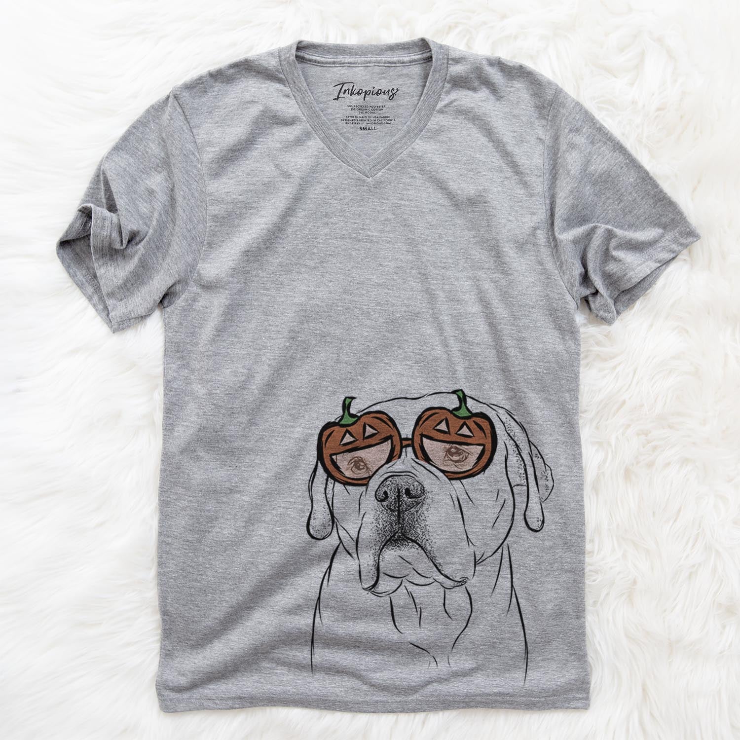 Nora the American Bulldog Mix  - Pumpkin Collection