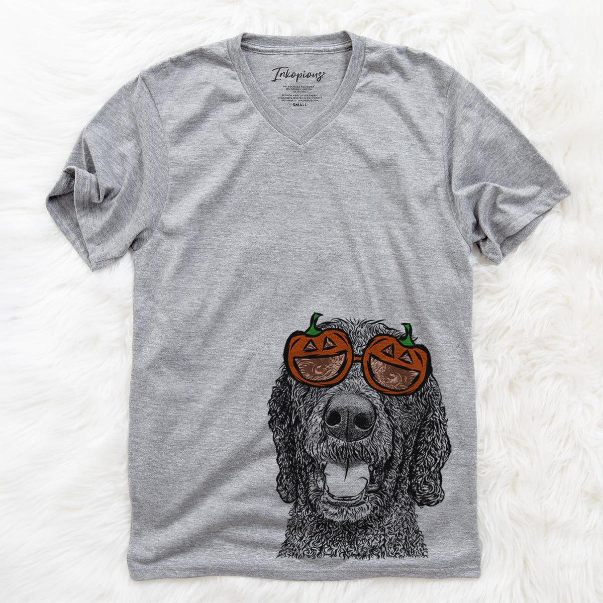 Obi James the Goldendoodle  - Pumpkin Collection