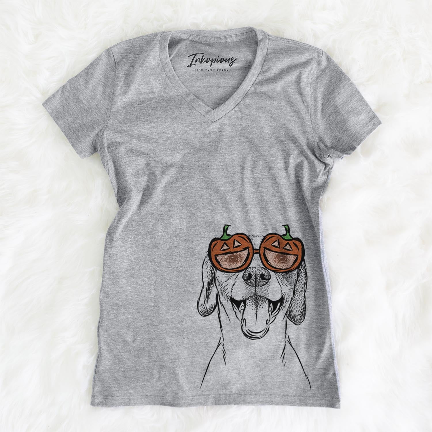 Obi the Beagle Mix  - Pumpkin Collection