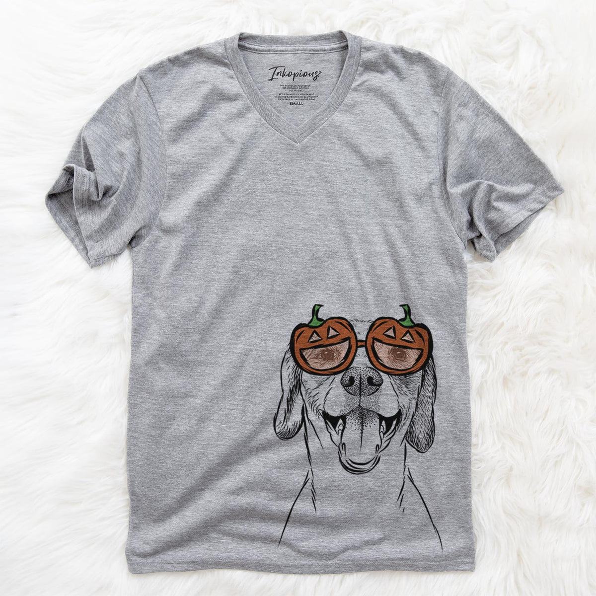 Obi the Beagle Mix  - Pumpkin Collection