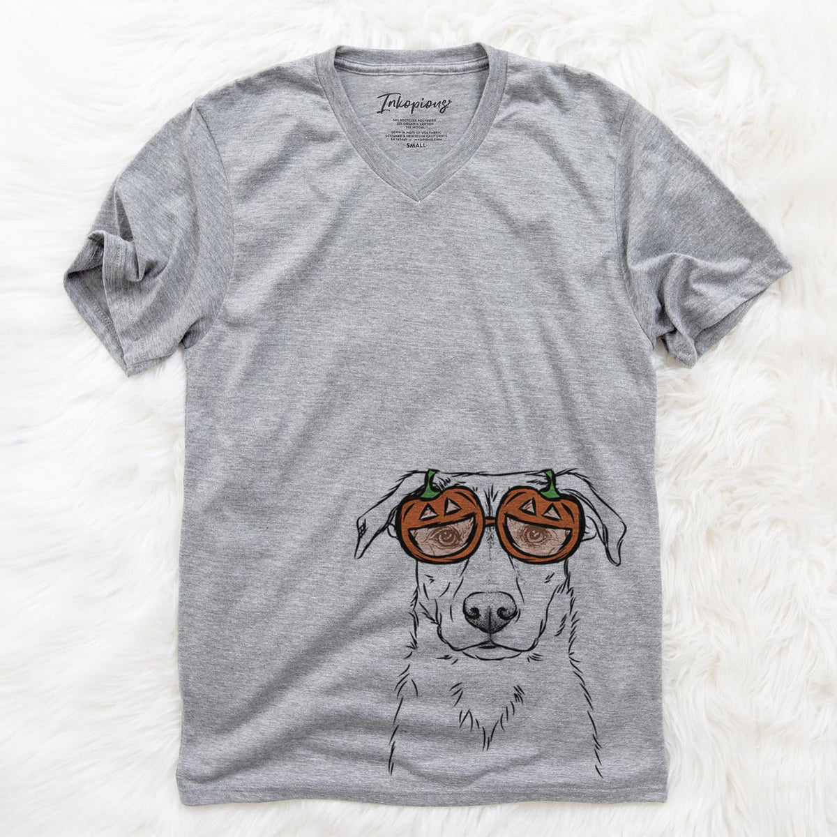 Peanut the Lab Mix  - Pumpkin Collection