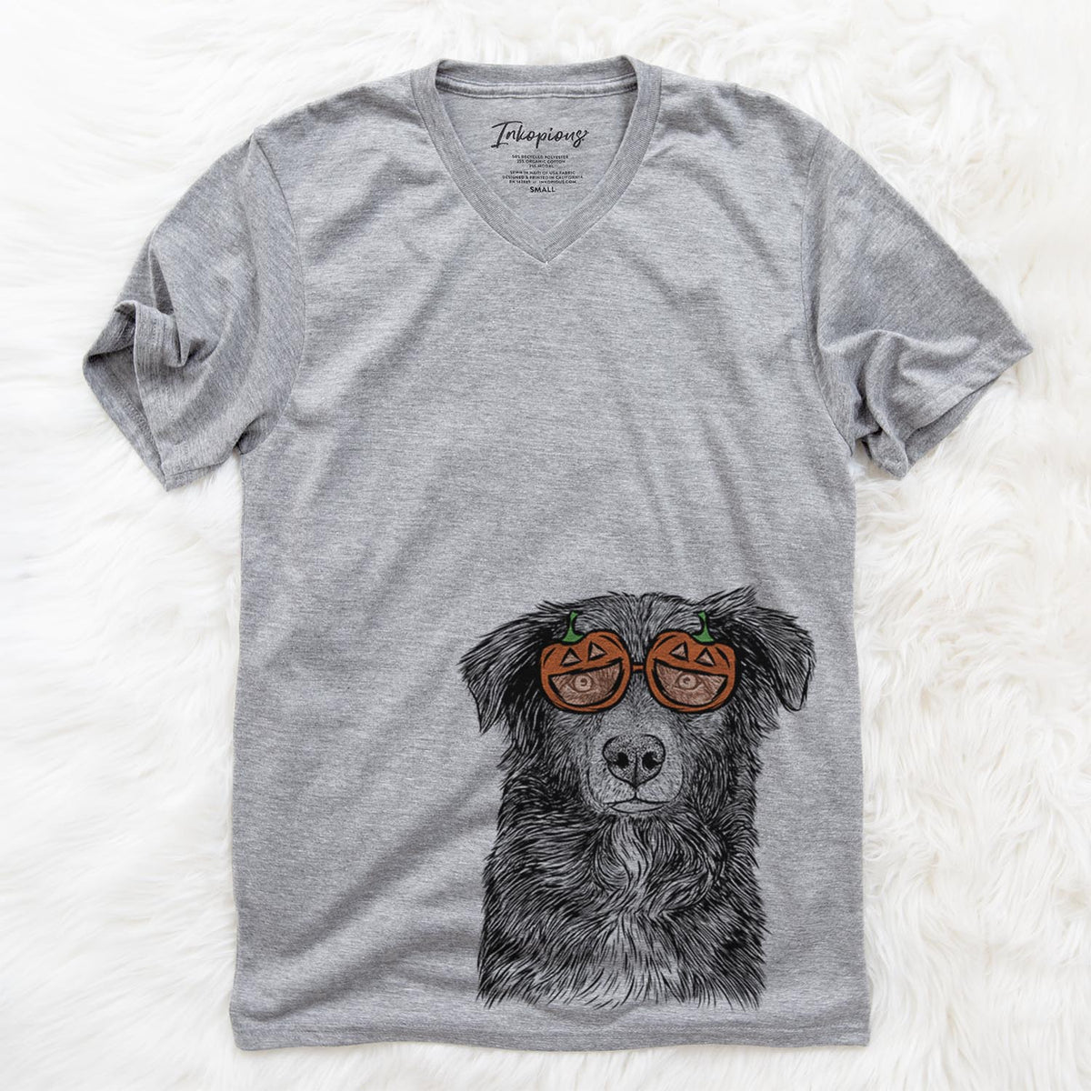 Pixel the Australian Shepherd  - Pumpkin Collection