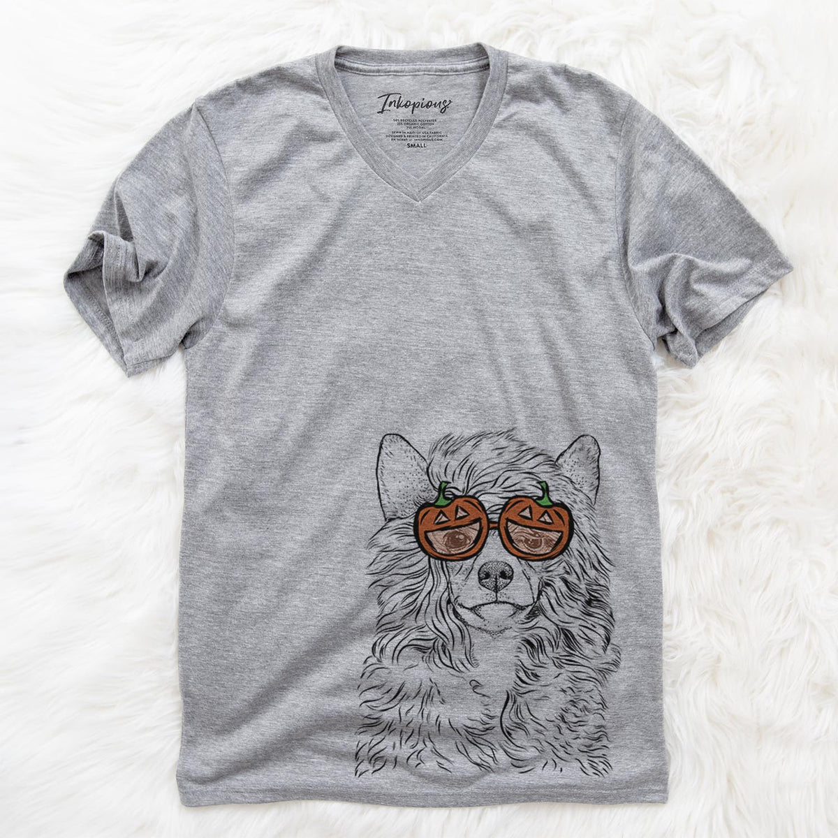 Preston the Powderpuff Chinese Crested  - Pumpkin Collection