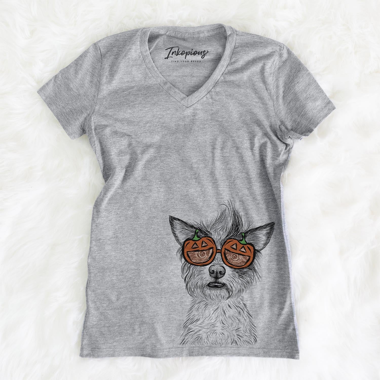 Quigley the Mixed Breed  - Pumpkin Collection