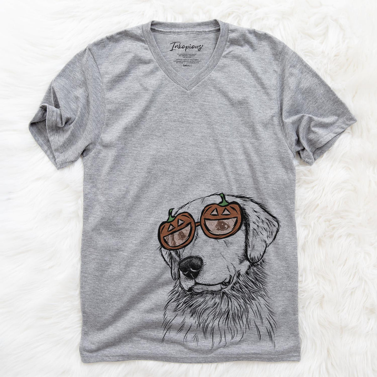 Quinn the Golden Retriever  - Pumpkin Collection