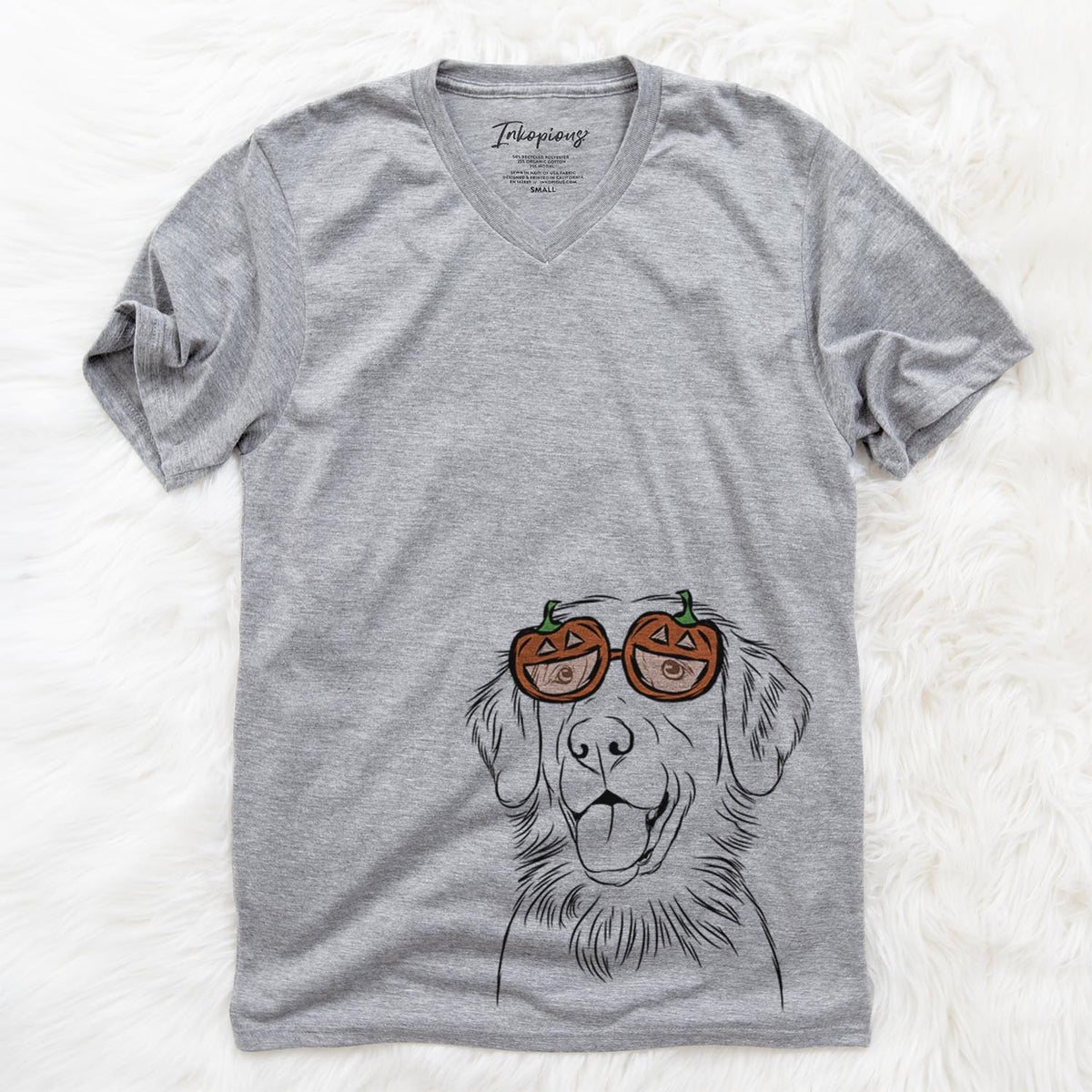 Raisin the Flat Coated Retriever  - Pumpkin Collection