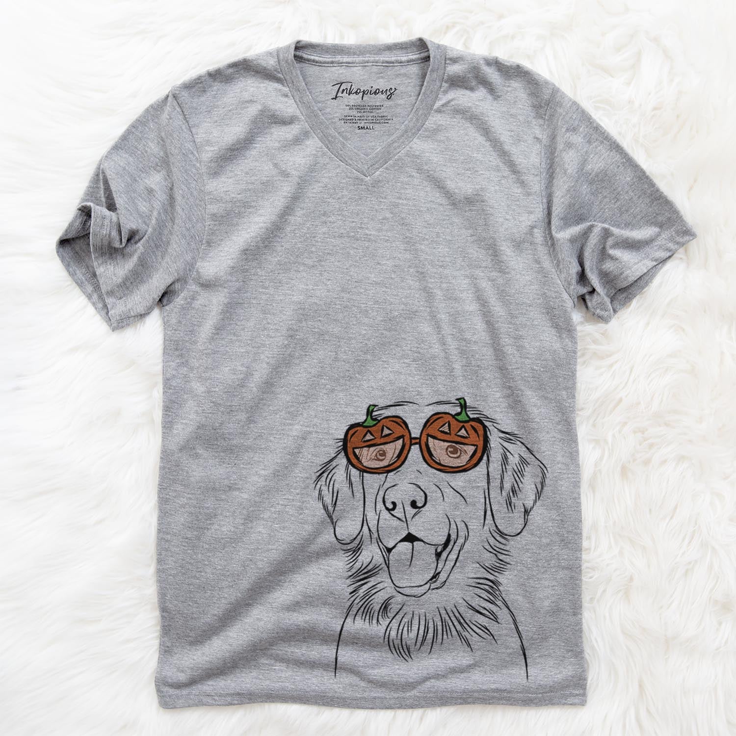 Raisin the Flat Coated Retriever  - Pumpkin Collection