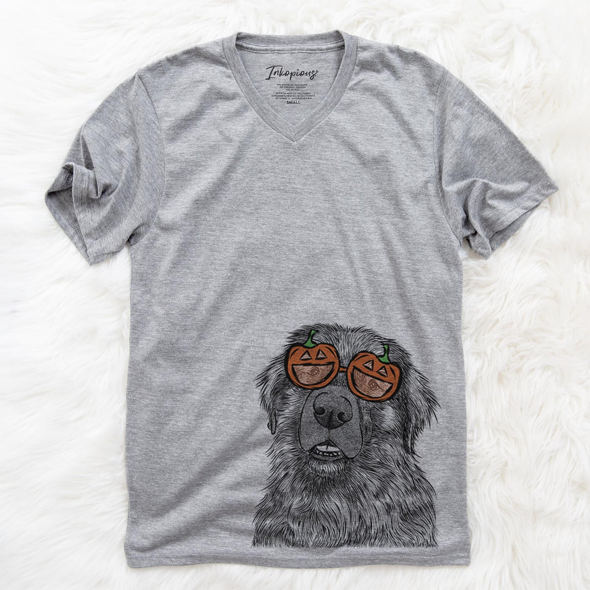 Ralph the Leonberger  - Pumpkin Collection