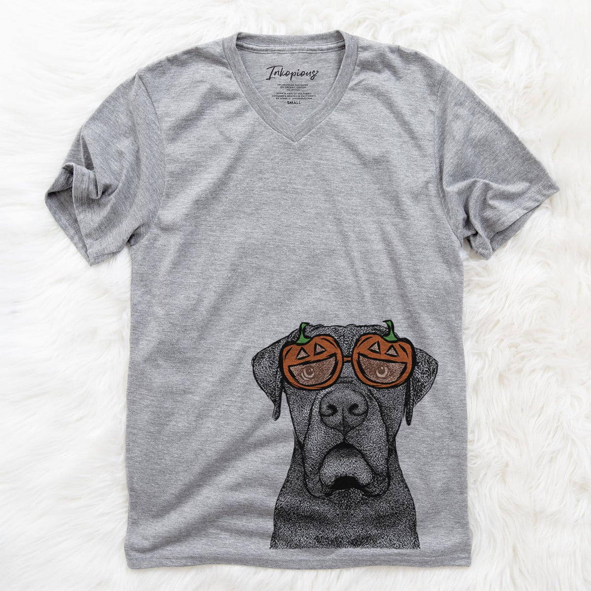 Rocco the Cane Corso  - Pumpkin Collection