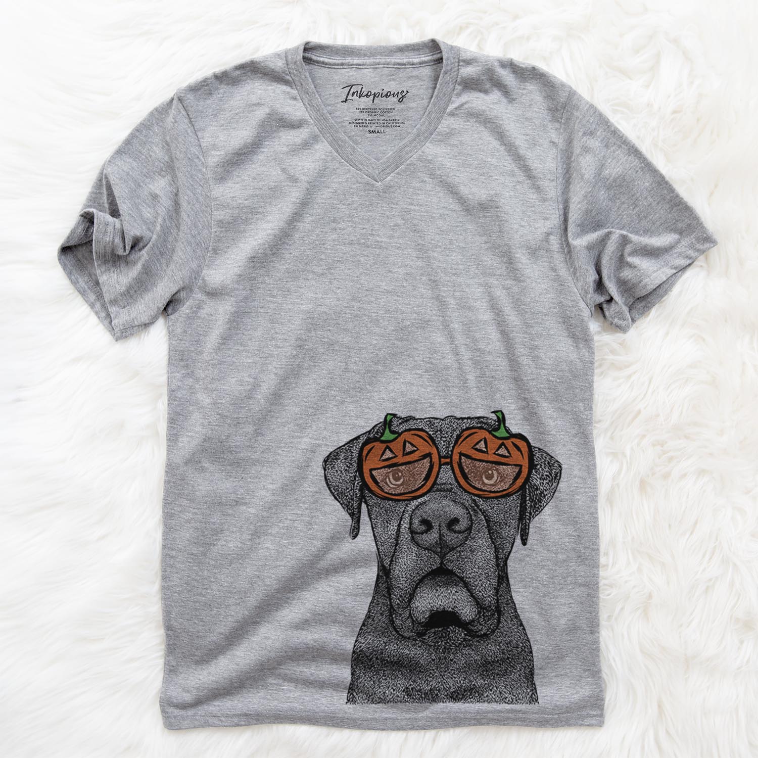 Rocco the Cane Corso  - Pumpkin Collection