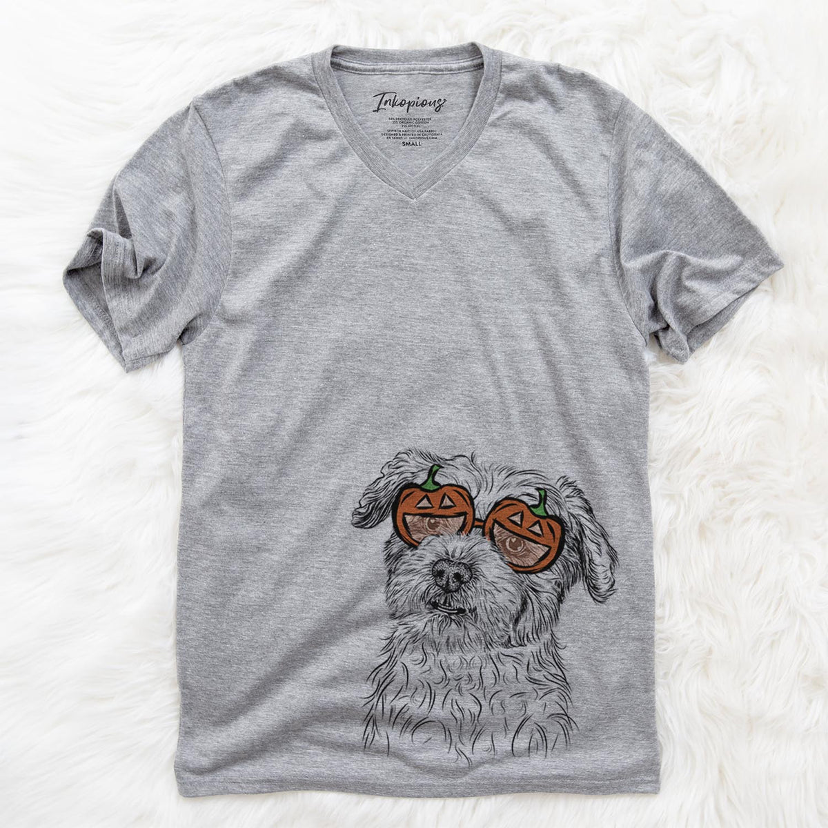 Roxie the Schnauzer Shih Tzu Mix  - Pumpkin Collection