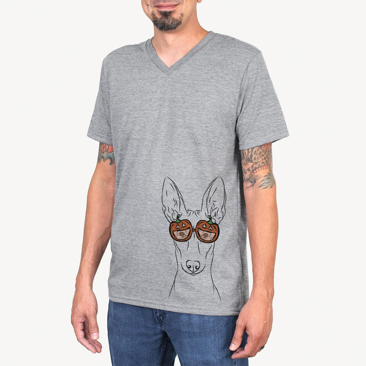 Ruadh the Pharaoh Hound  - Pumpkin Collection