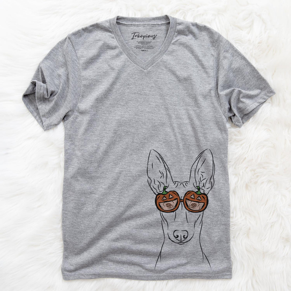 Ruadh the Pharaoh Hound  - Pumpkin Collection