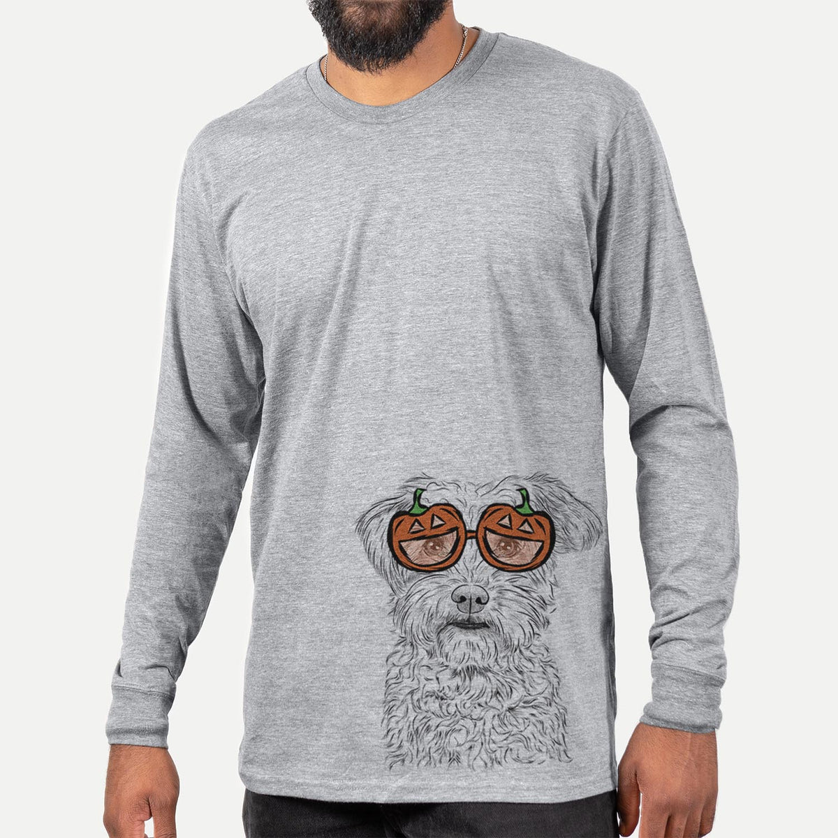 Rudy the Schnoodle  - Pumpkin Collection