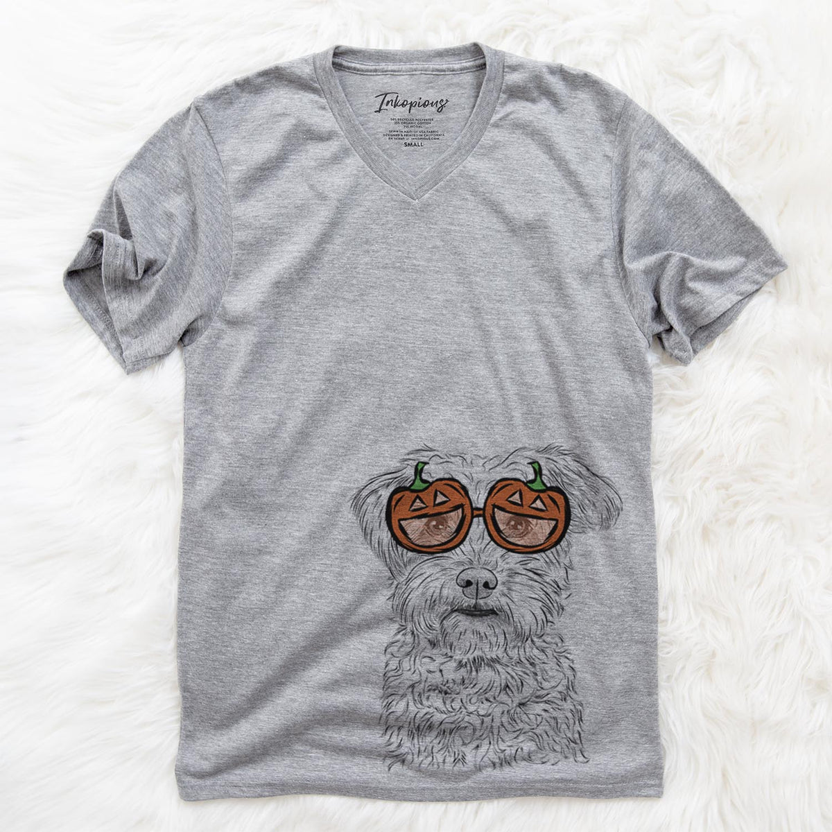 Rudy the Schnoodle  - Pumpkin Collection