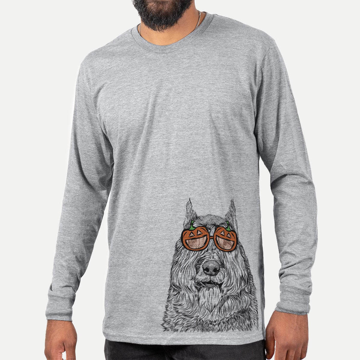 Sabre the Bouvier des Flandres  - Pumpkin Collection