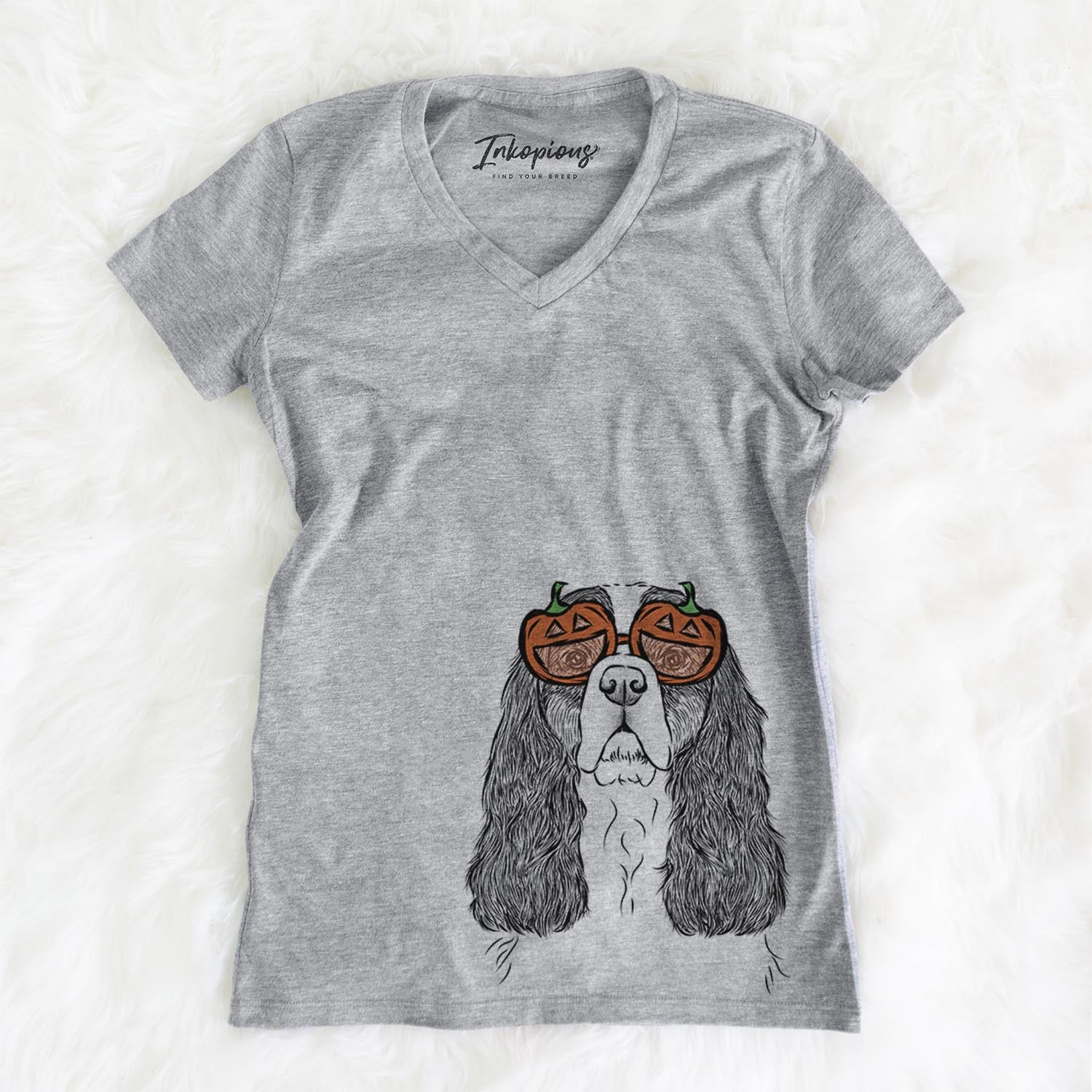 Sebastian the Cavalier King Charles Spaniel  - Pumpkin Collection