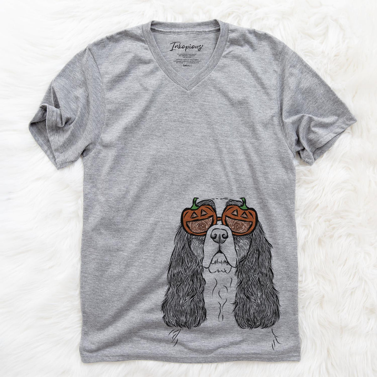 Sebastian the Cavalier King Charles Spaniel  - Pumpkin Collection