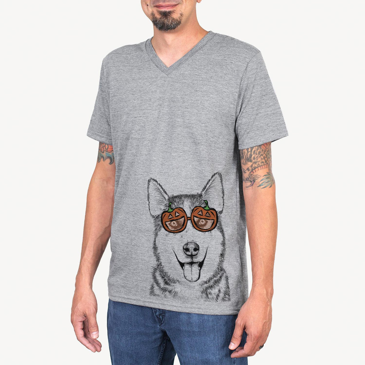 Sesi the Siberian Husky  - Pumpkin Collection