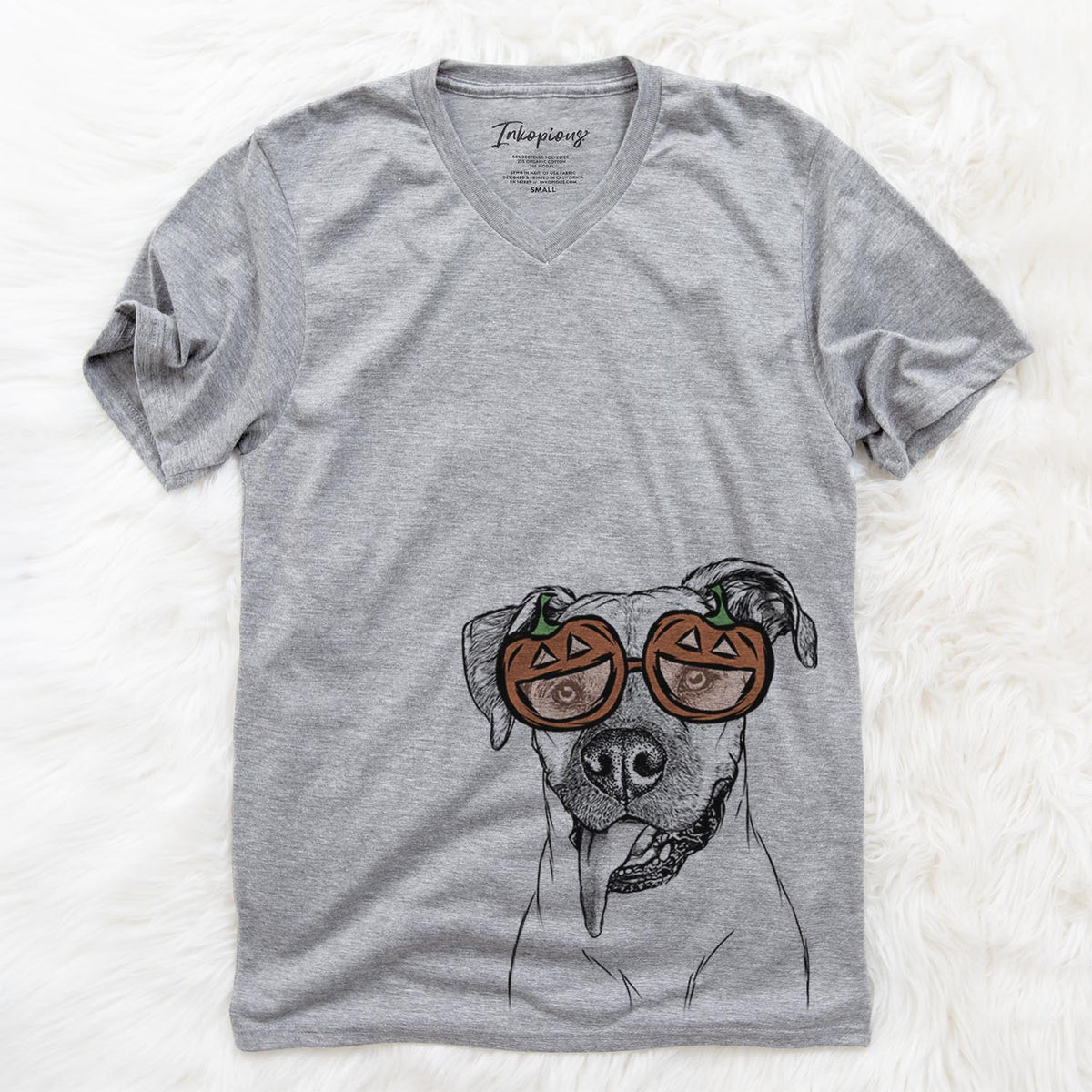 Sir Jake the Boxer  - Pumpkin Collection