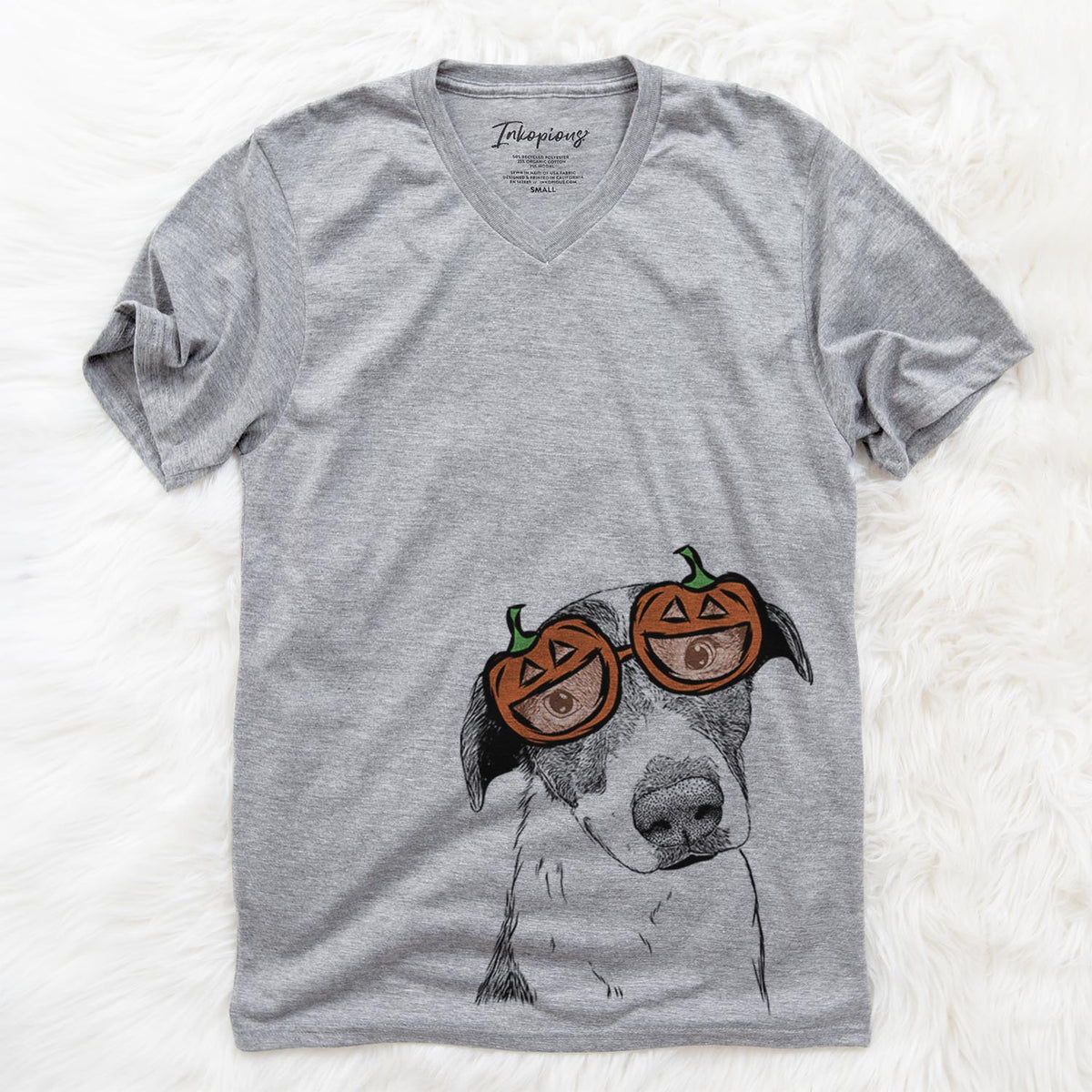 Sophia the Mixed Breed  - Pumpkin Collection