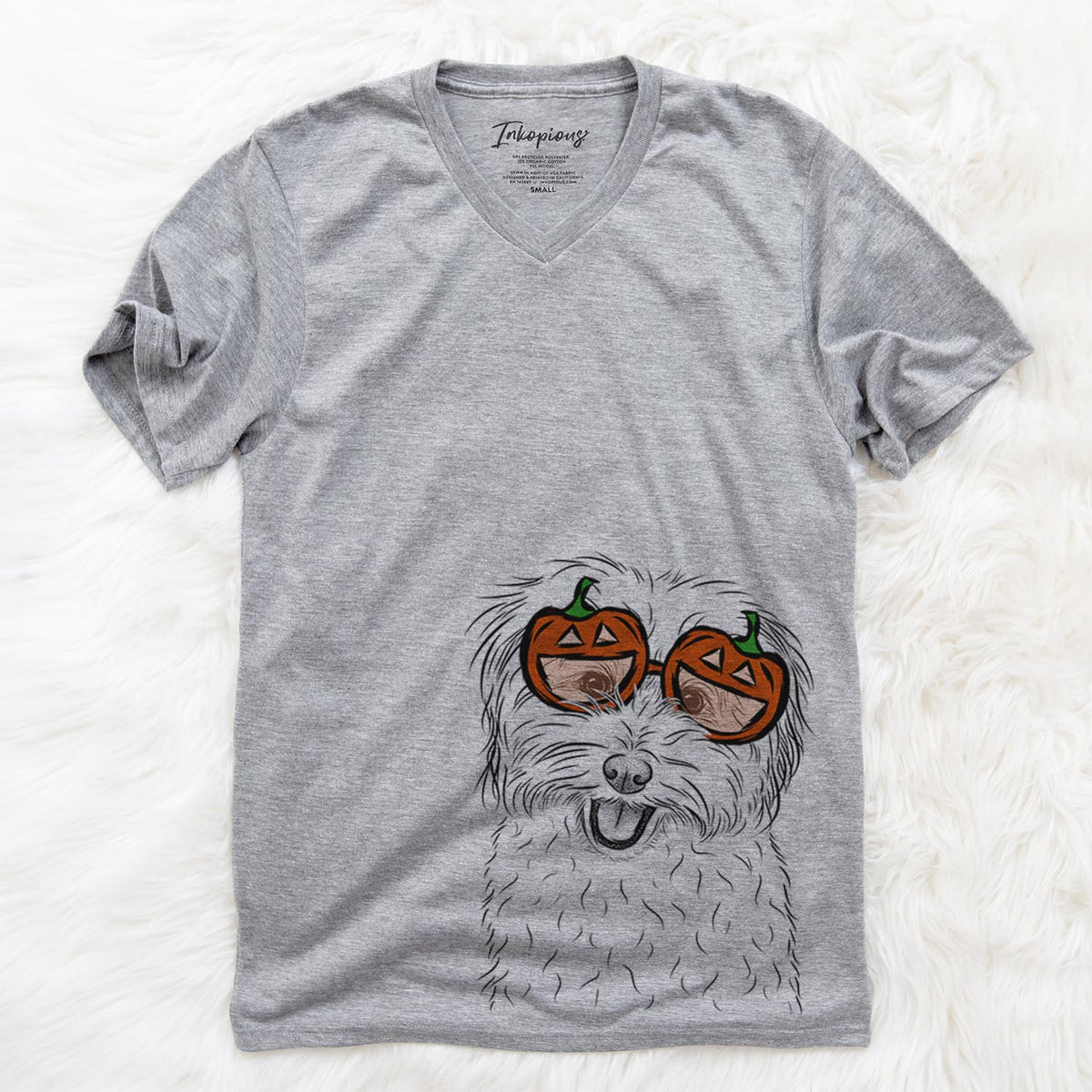 Sophie Quinn the Havanese  - Pumpkin Collection