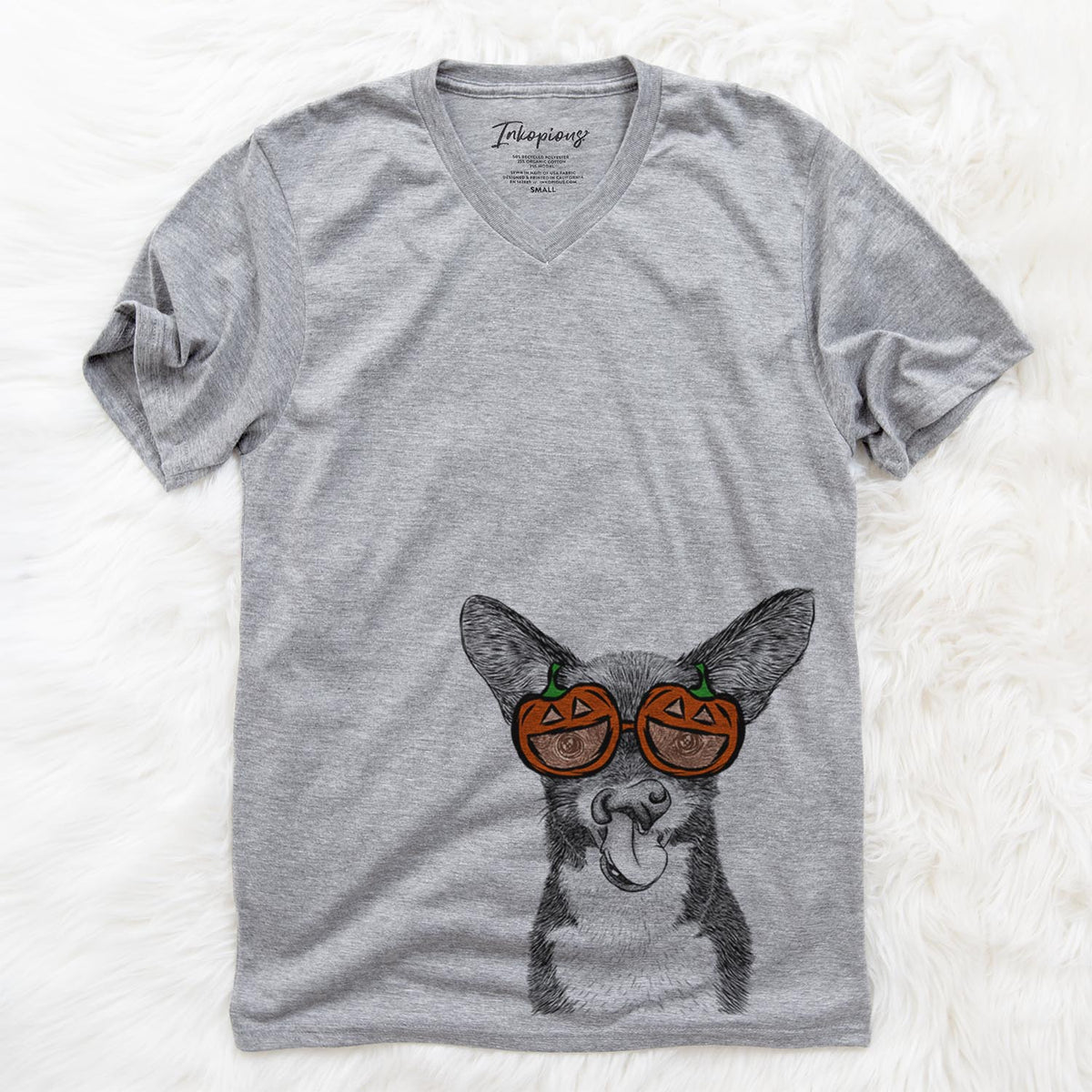 Sprout the Chihuahua Mix  - Pumpkin Collection