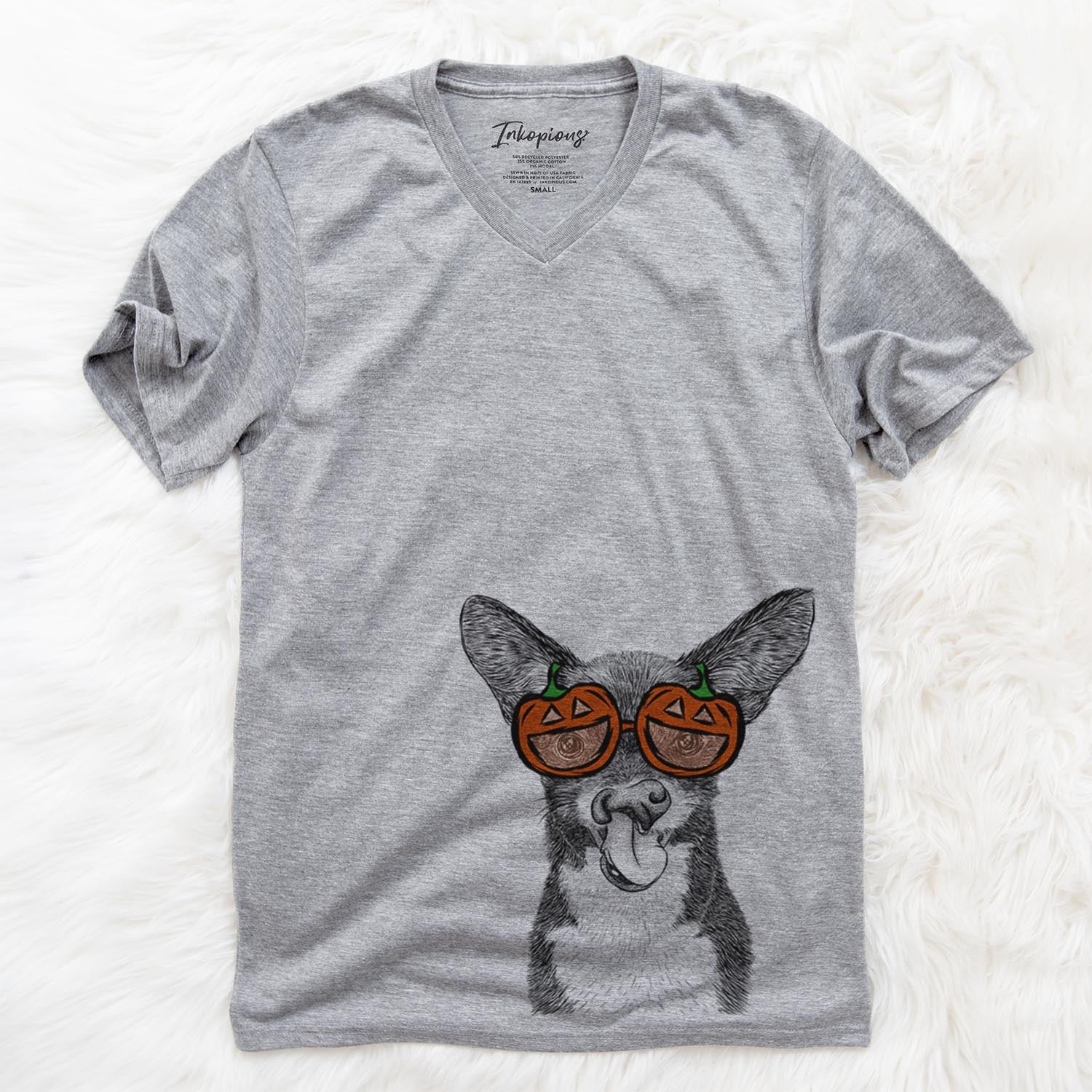 Sprout the Chihuahua Mix  - Pumpkin Collection